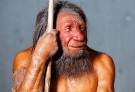 evolucion del ser humano